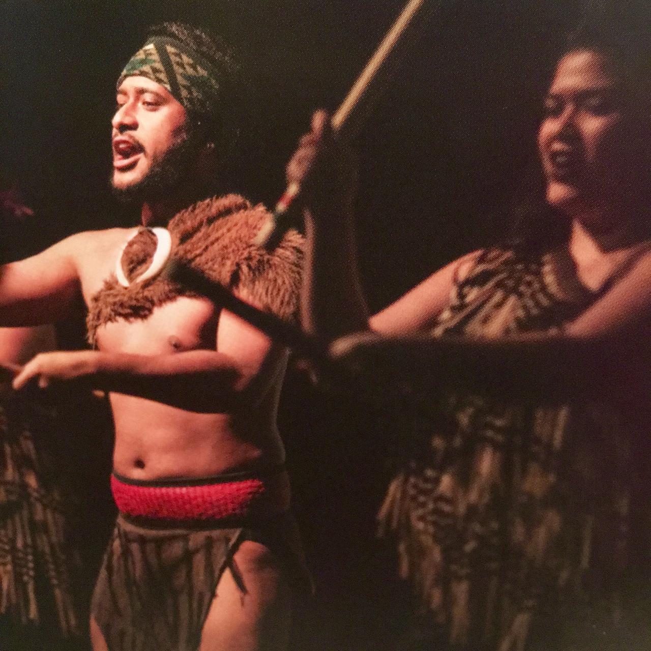 Auckland City and Maori Culture Tour