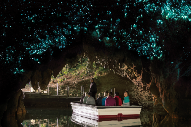 Waitomo Caves and Hobbiton Combo