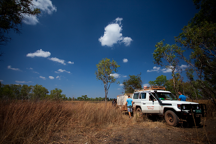 toyota dyna kakadu safari