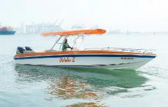 Island Hopping in Style + Speedboat 29*