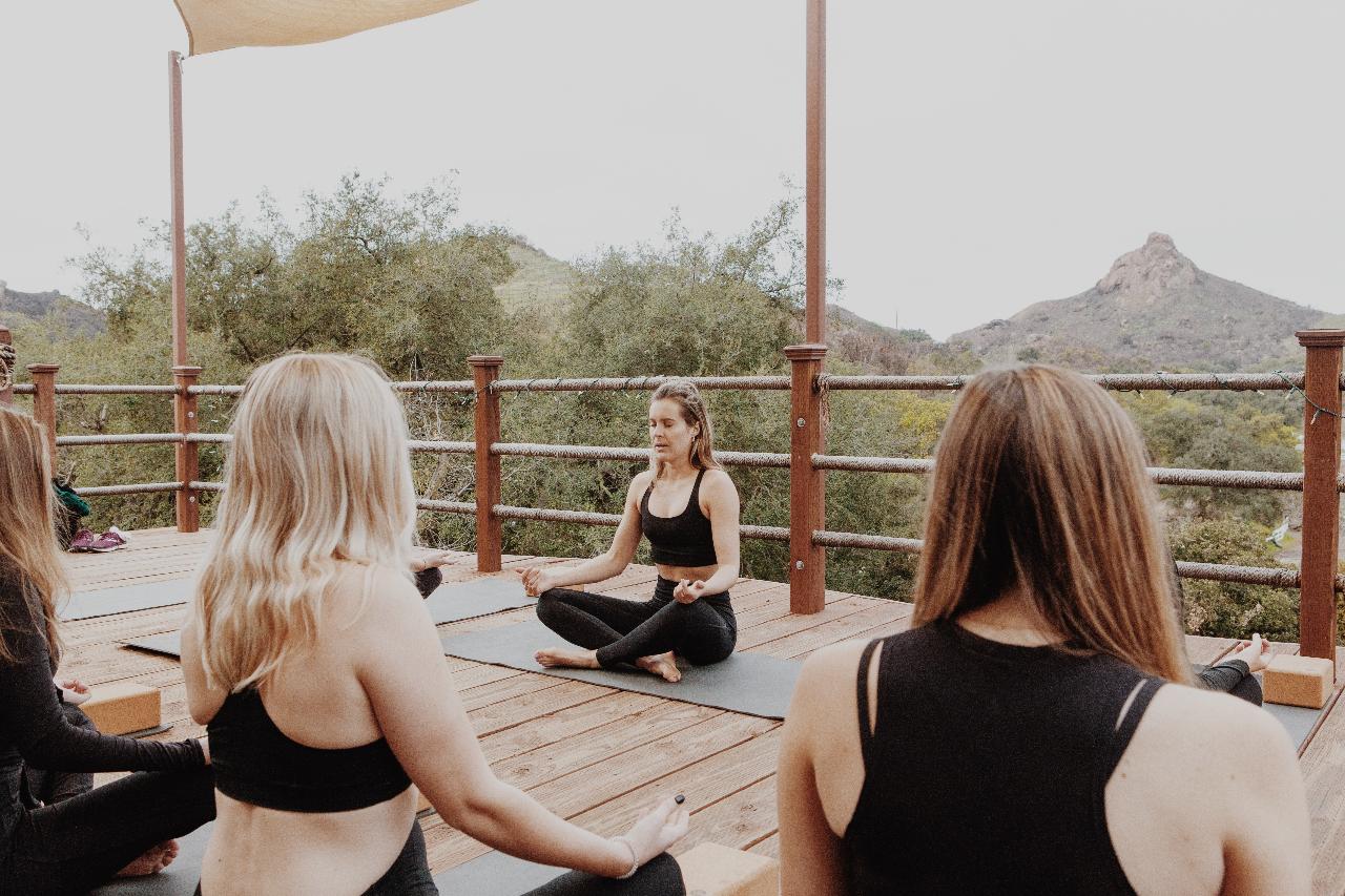 Private Group Yoga