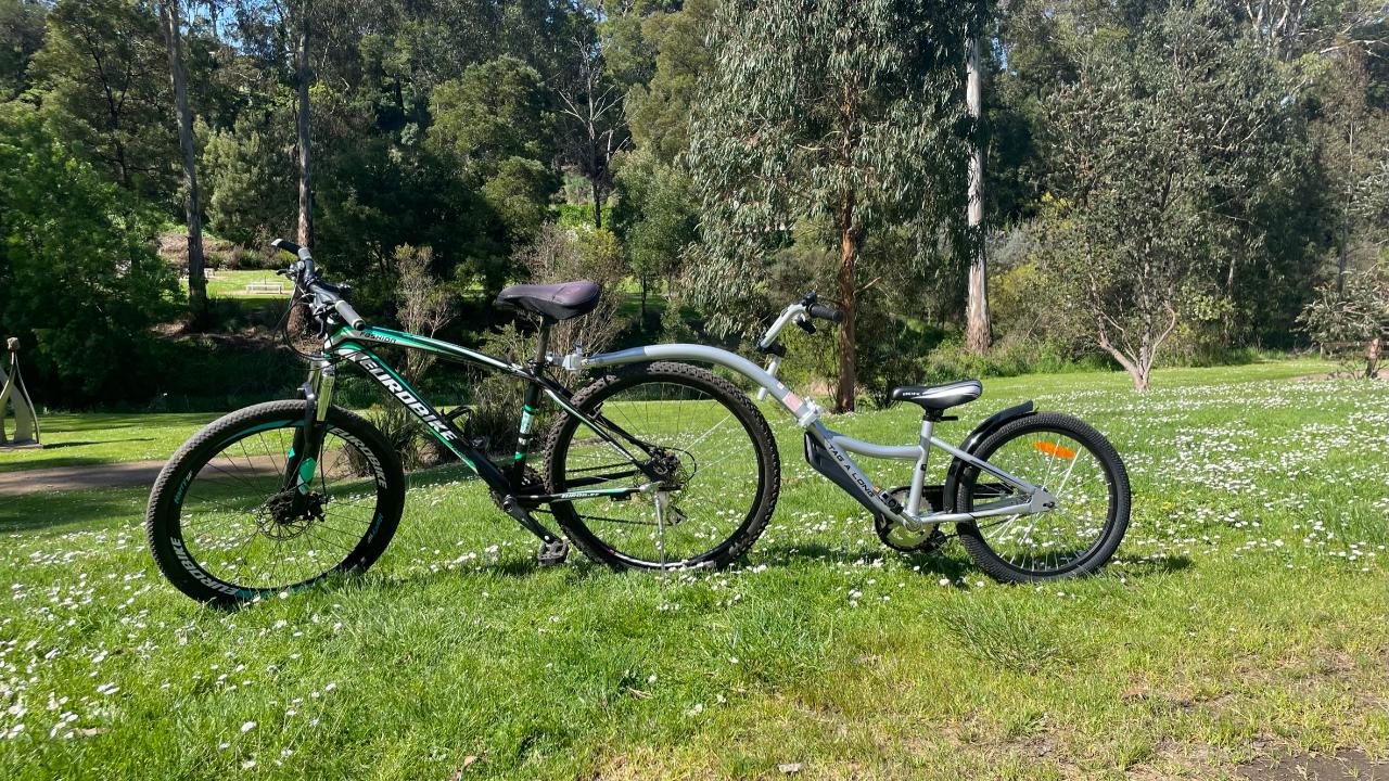 Tag A Long Child's Trailer Bike