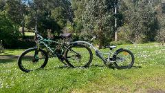 Tag A Long Child's Trailer Bike