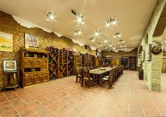 Private Wine tasting in Villa Yustina and Sightseeing in Plovdiv