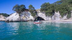 Coves Caves and Coastline