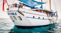 The Authentic Fijian Island Day Cruise Experience - Whales Tale - From Denarau Island, Nadi Areas, Momi Bay & Coral Coast