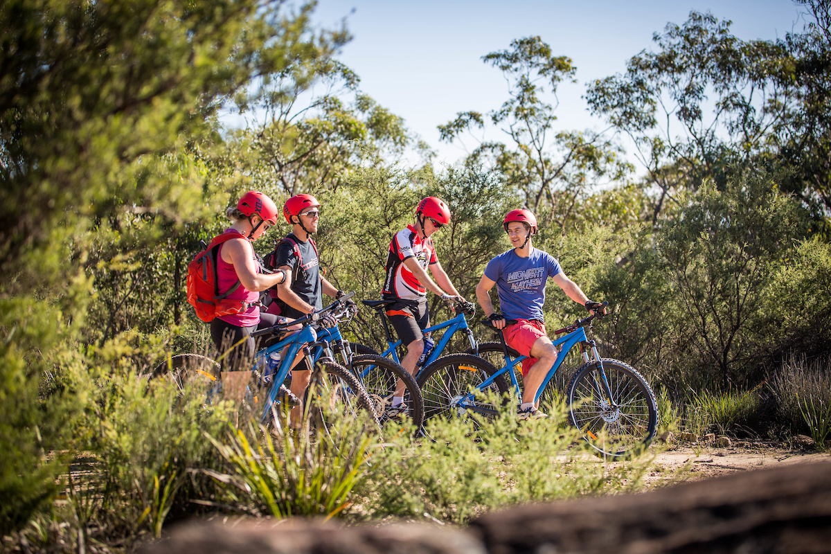 E- Bike (electric) GUIDED TOUR - HALF DAY - PRIVATE CHARTER - Blue Labyrinth - Glenbrook Precinct