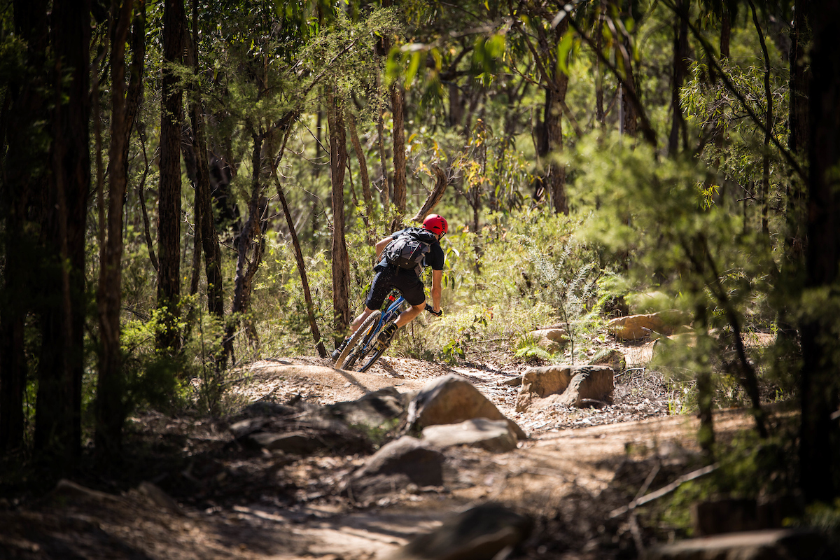 Old Mans Valley (OMV), Hornsby Bike Park 