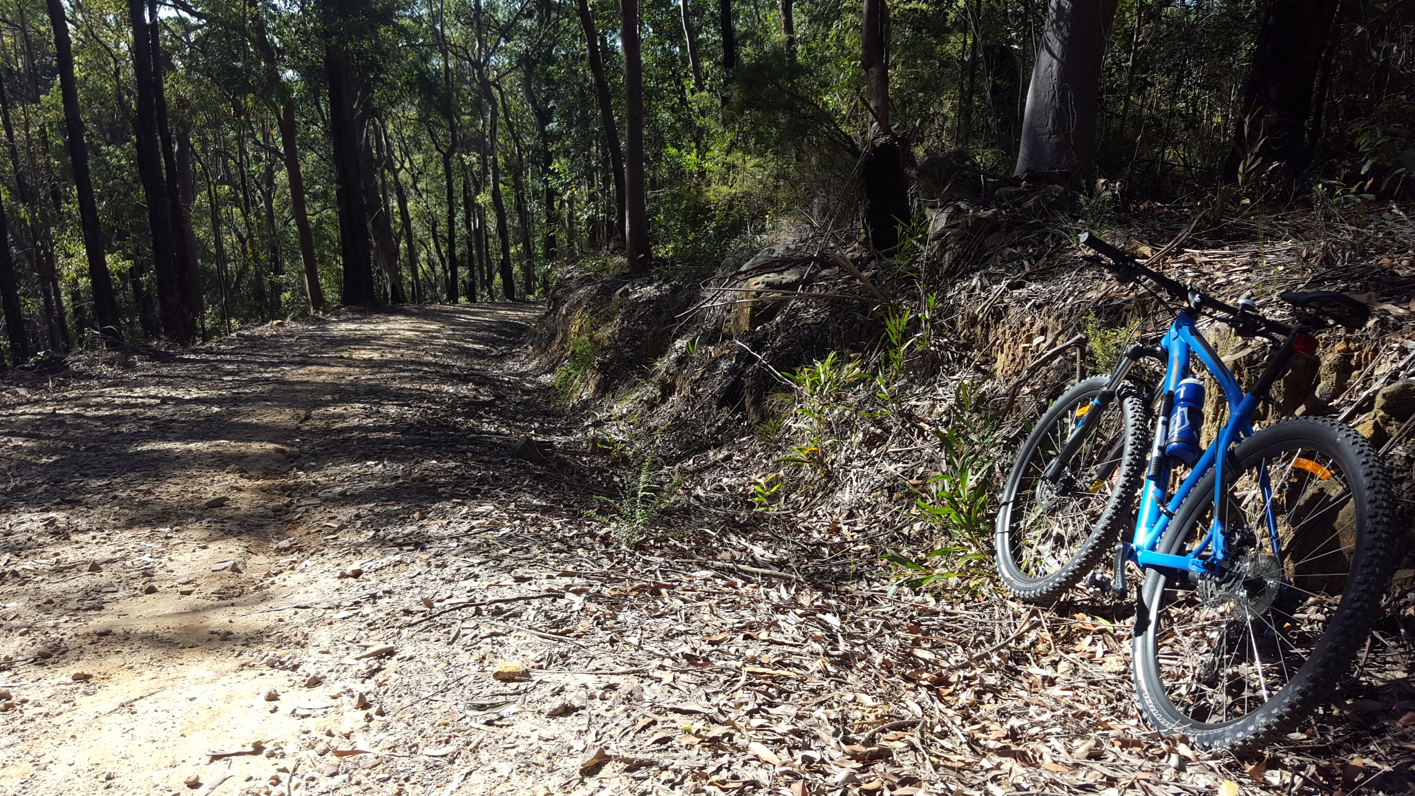 E- Bike (electric) GUIDED TOUR - HALF DAY - PRIVATE CHARTER - Blue Labyrinth - Glenbrook Precinct