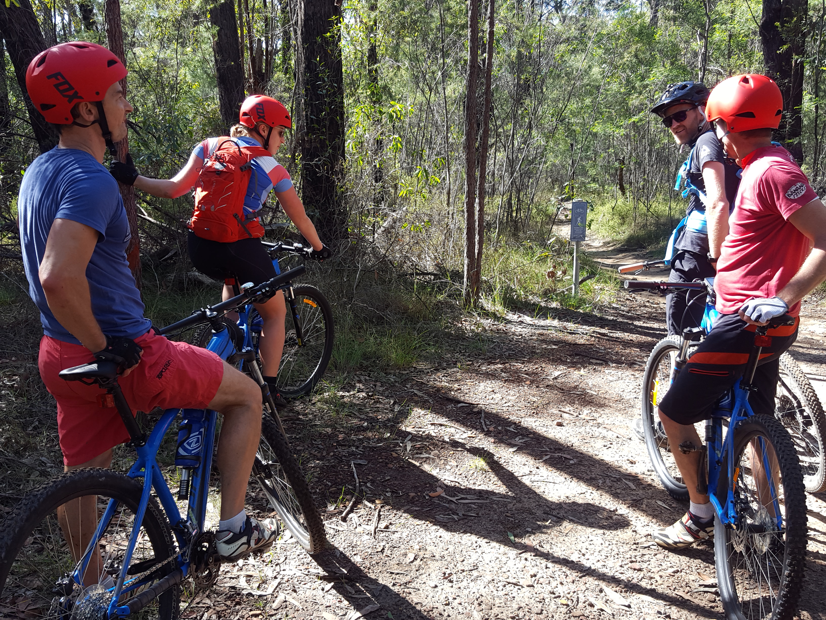 E- Bike (electric) GUIDED TOUR - HALF DAY - PRIVATE CHARTER - Blue Labyrinth - Glenbrook Precinct