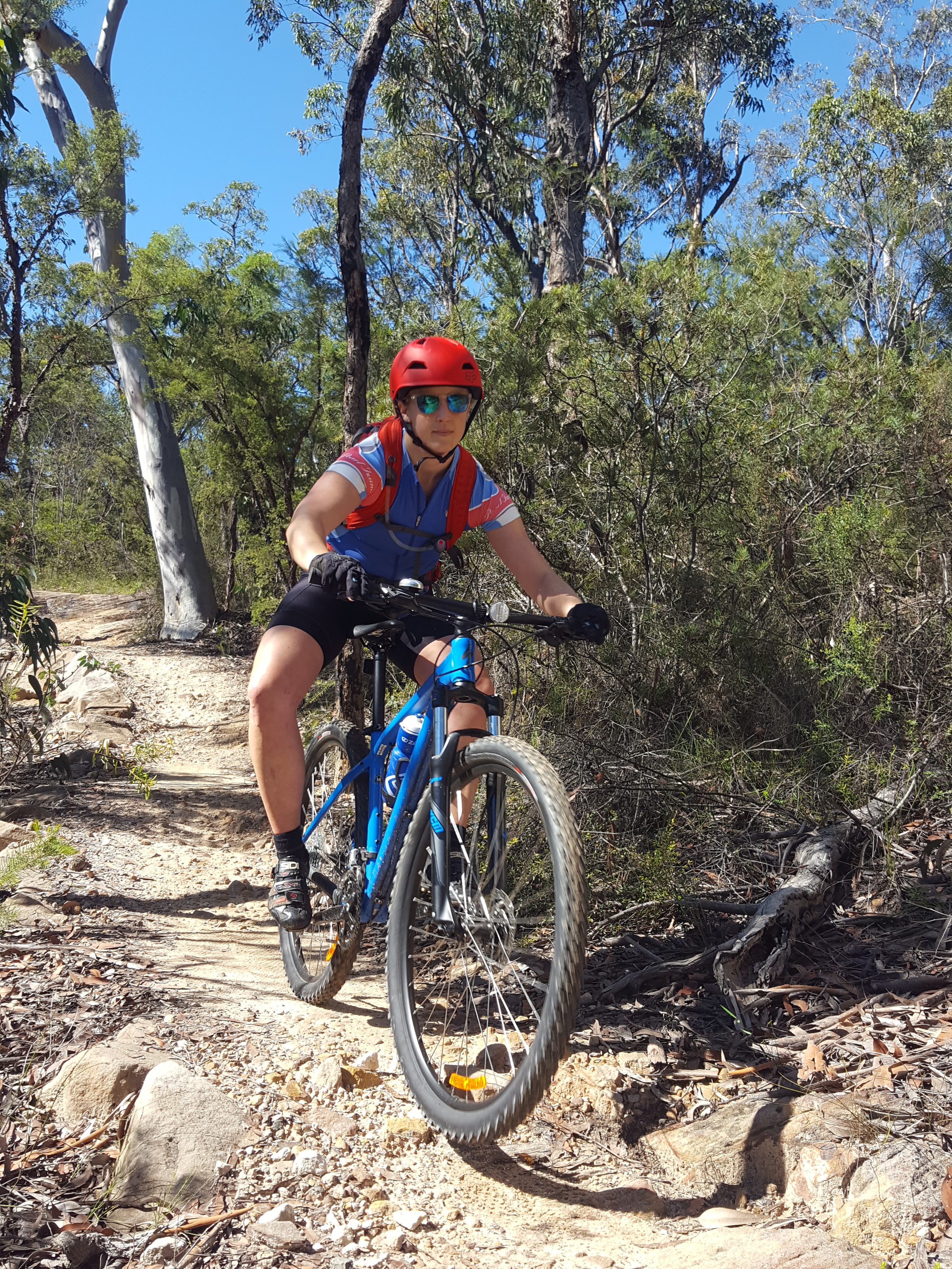 E- Bike (electric) GUIDED TOUR - HALF DAY - PRIVATE CHARTER - Blue Labyrinth - Glenbrook Precinct