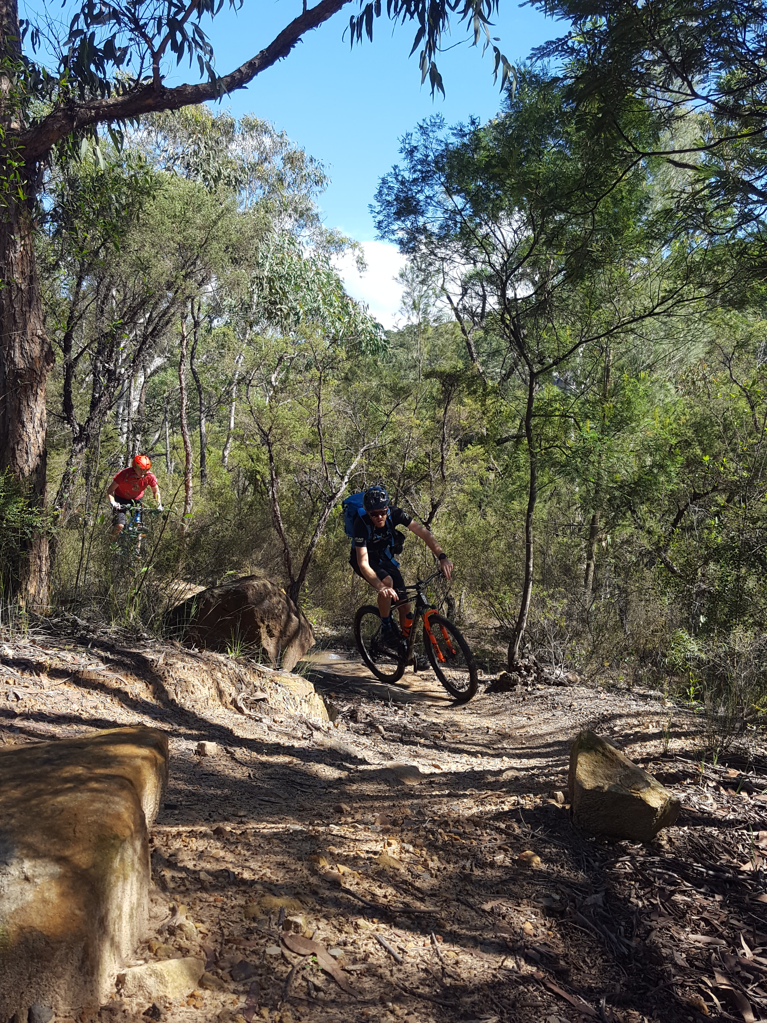E- Bike (electric) GUIDED TOUR - HALF DAY - PRIVATE CHARTER - Blue Labyrinth - Glenbrook Precinct