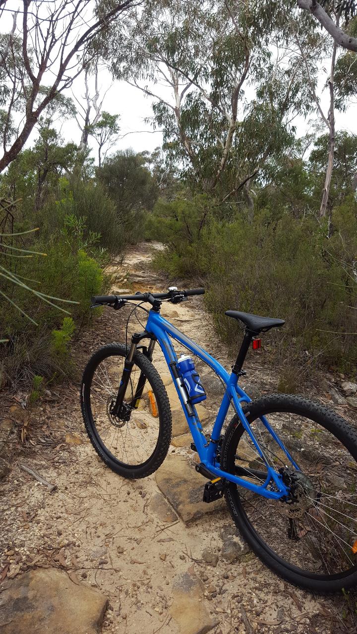 ANVIL ROCK Trail Blackheath Self Guided Tour (BEGINNER FRIENDLY