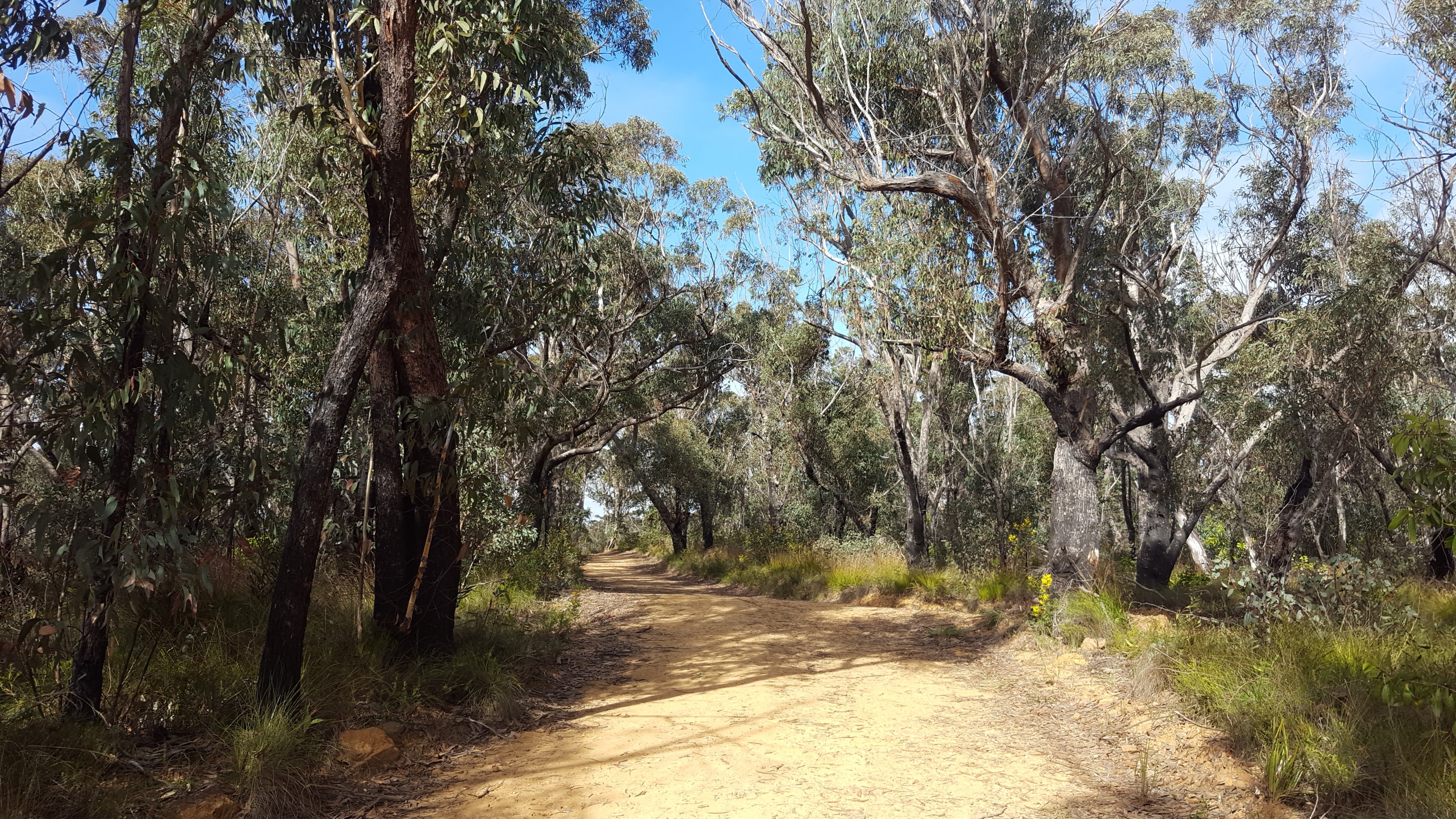 E- Bike (electric) GUIDED TOUR - HALF DAY - HANGING ROCK -  Blackheath