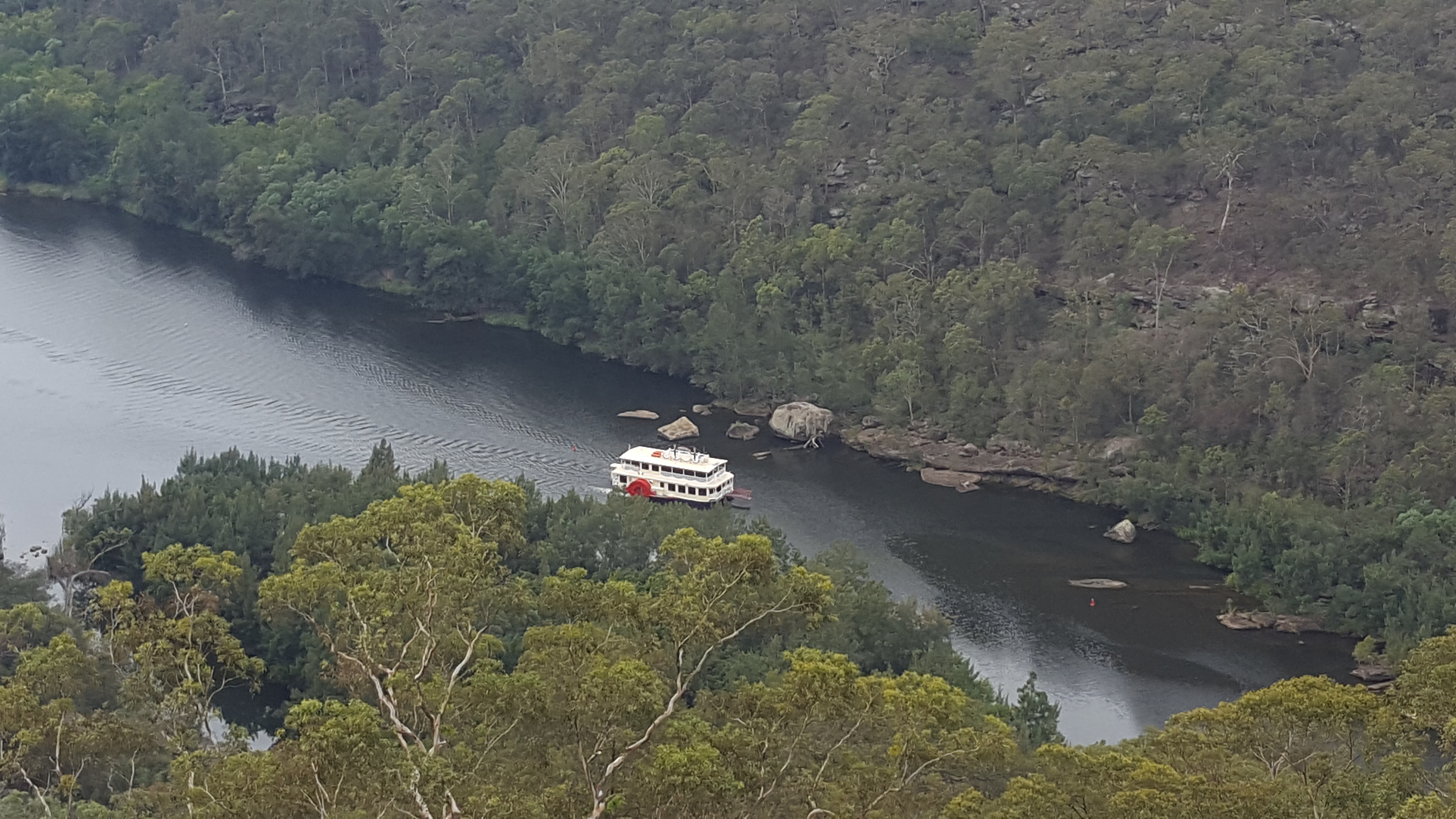 E- Bike (electric) GUIDED TOUR - HALF DAY - PRIVATE CHARTER - Blue Labyrinth - Glenbrook Precinct