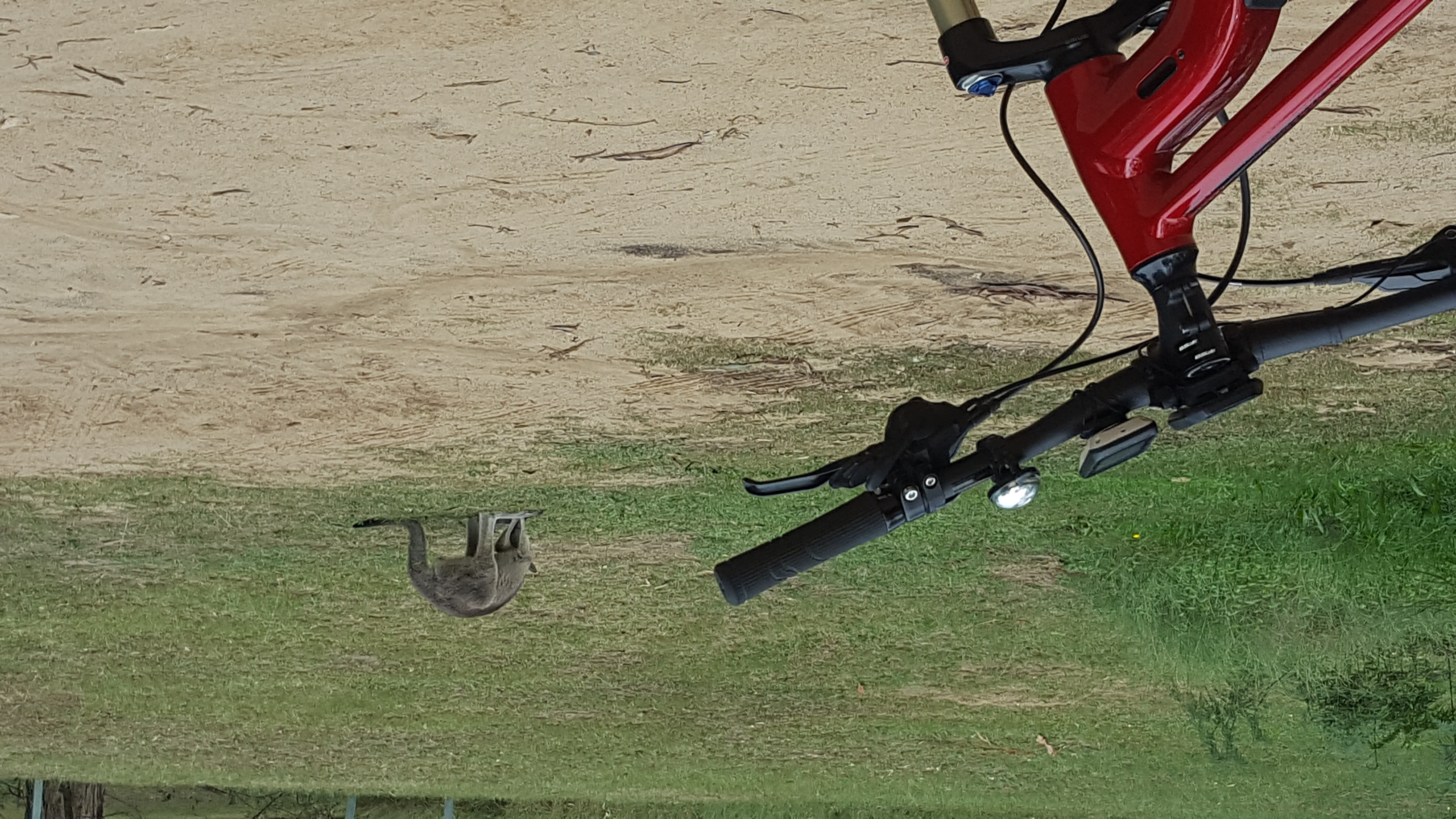 E- Bike (electric) GUIDED TOUR - HALF DAY - PRIVATE CHARTER - Blue Labyrinth - Glenbrook Precinct