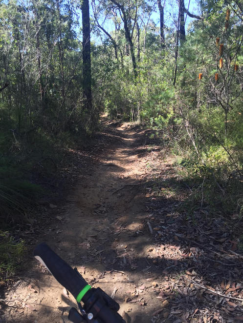 Blue Mountains - Katoomba - 4 Day Bike Hire