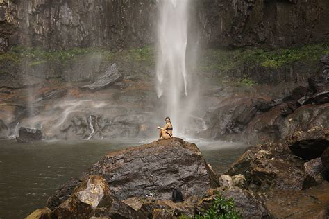 Minyon Waterfall Rainforest Tour