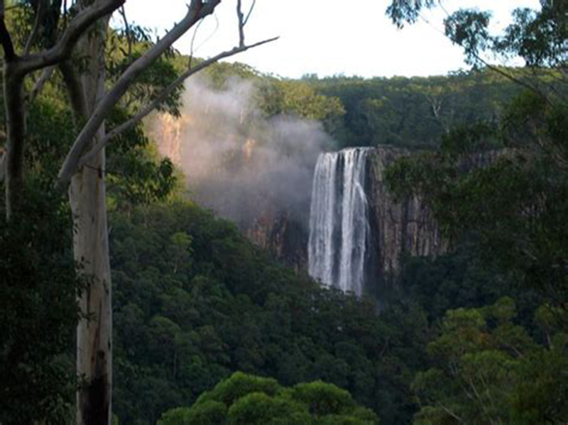 Minyon Waterfall Rainforest Tour