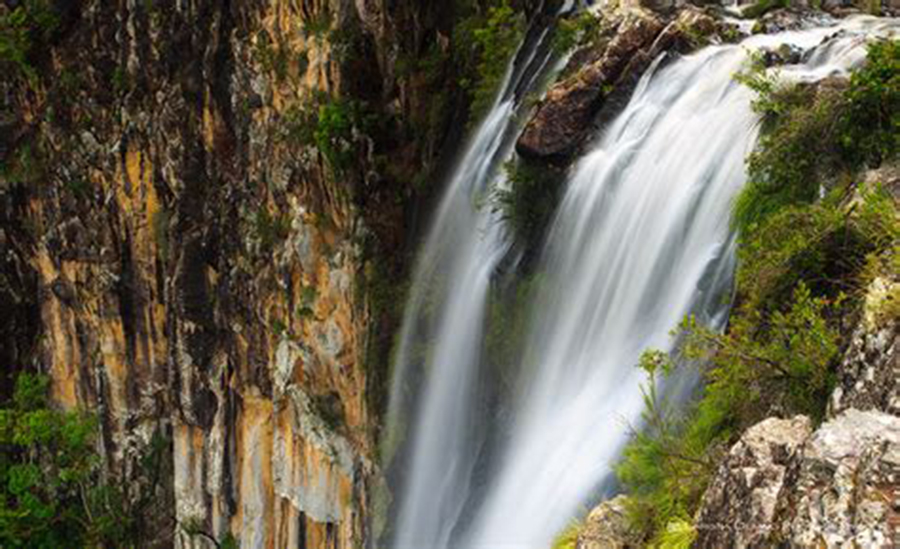 Minyon Waterfall Rainforest Tour