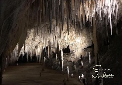 Huon Valley- Hastings Caves Tasmania Australia