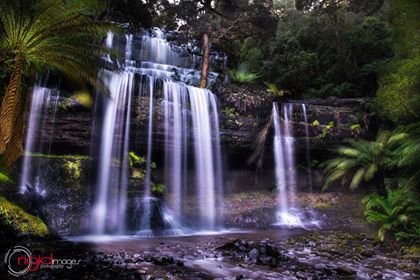 Mount Field National Park Tasmania Australia