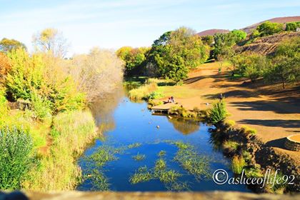 Take a Peek at our Peak, Bridge and Wildlife Tasmania Australia
