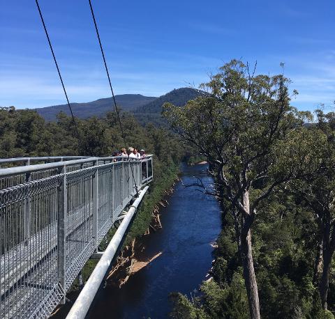 Huon Valley-Tahune Airwalk Tasmania Australia