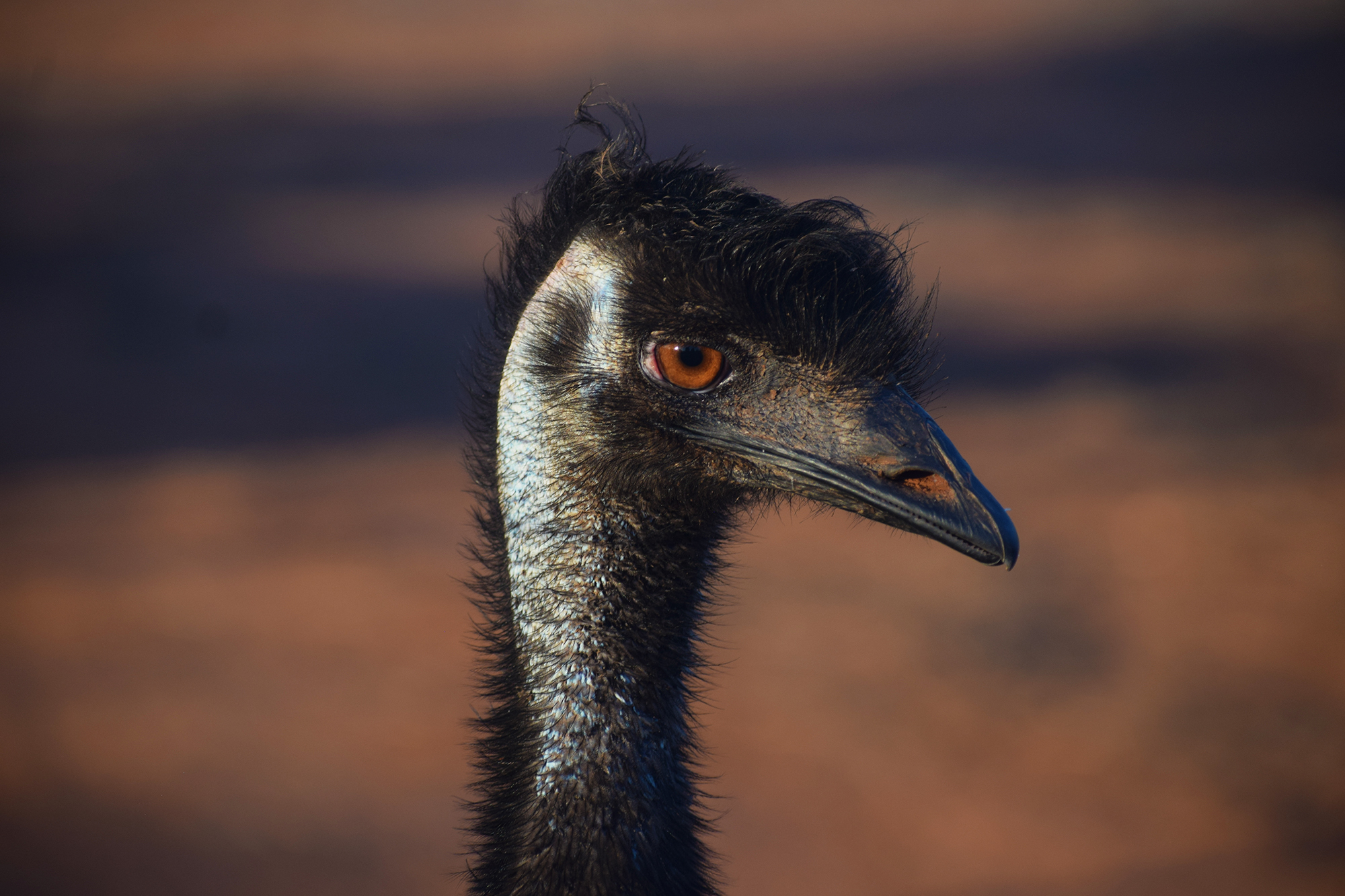 Broken Hill and Surrounds Deluxe  - 3 Day Package