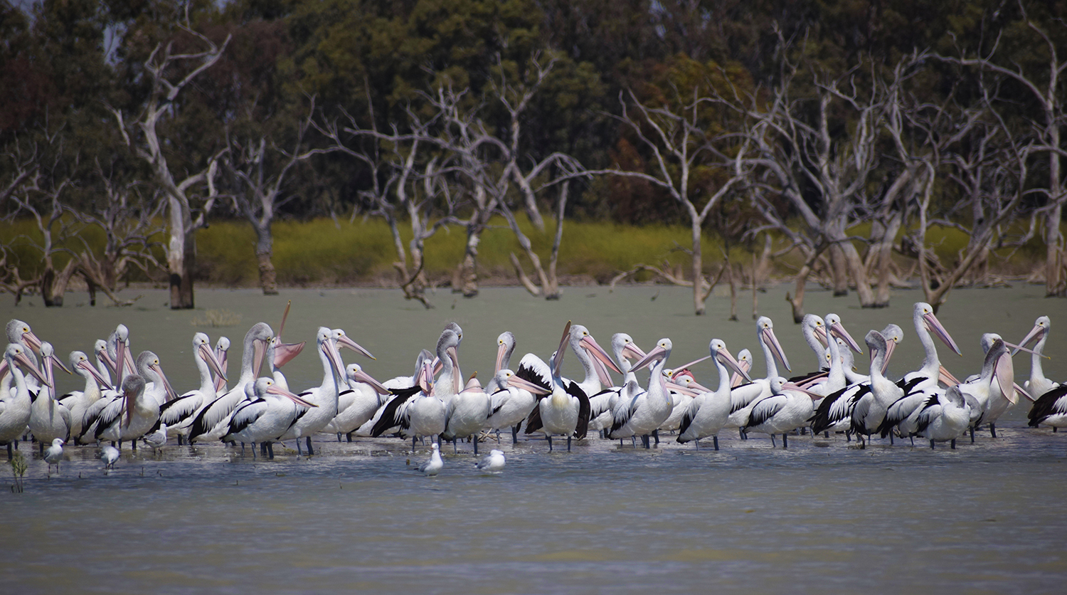 3 Day Outback Exposure Tour