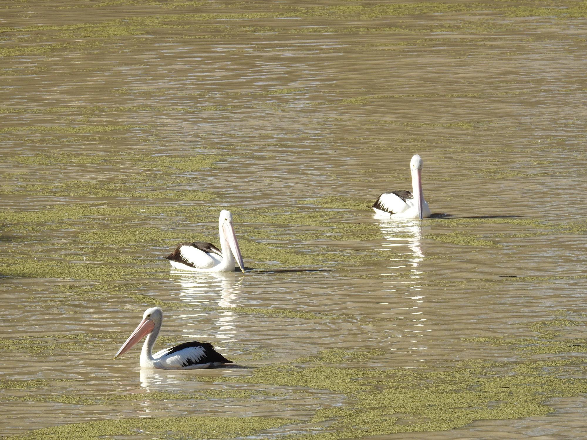 3 Day Outback Exposure Tour