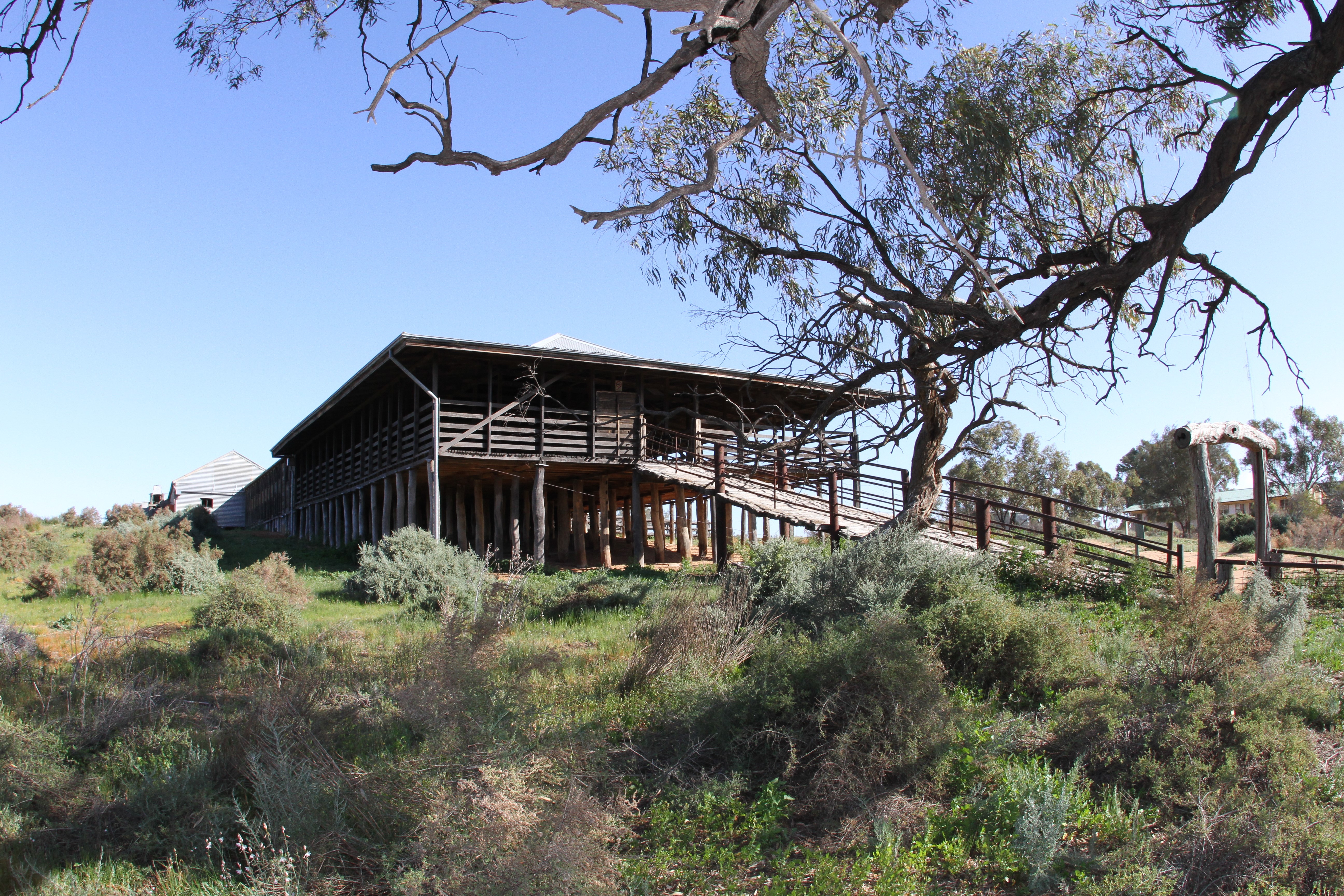 1 Day Menindee and Kinchega NP Tour