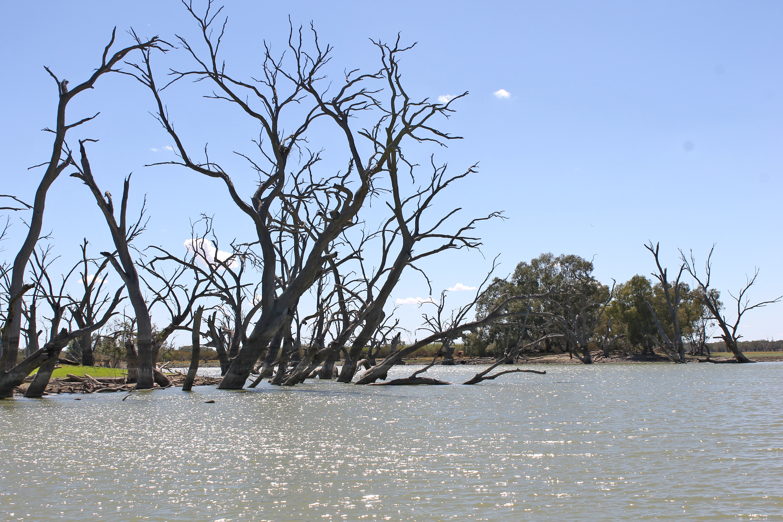 1 Day Menindee and Kinchega NP Tour