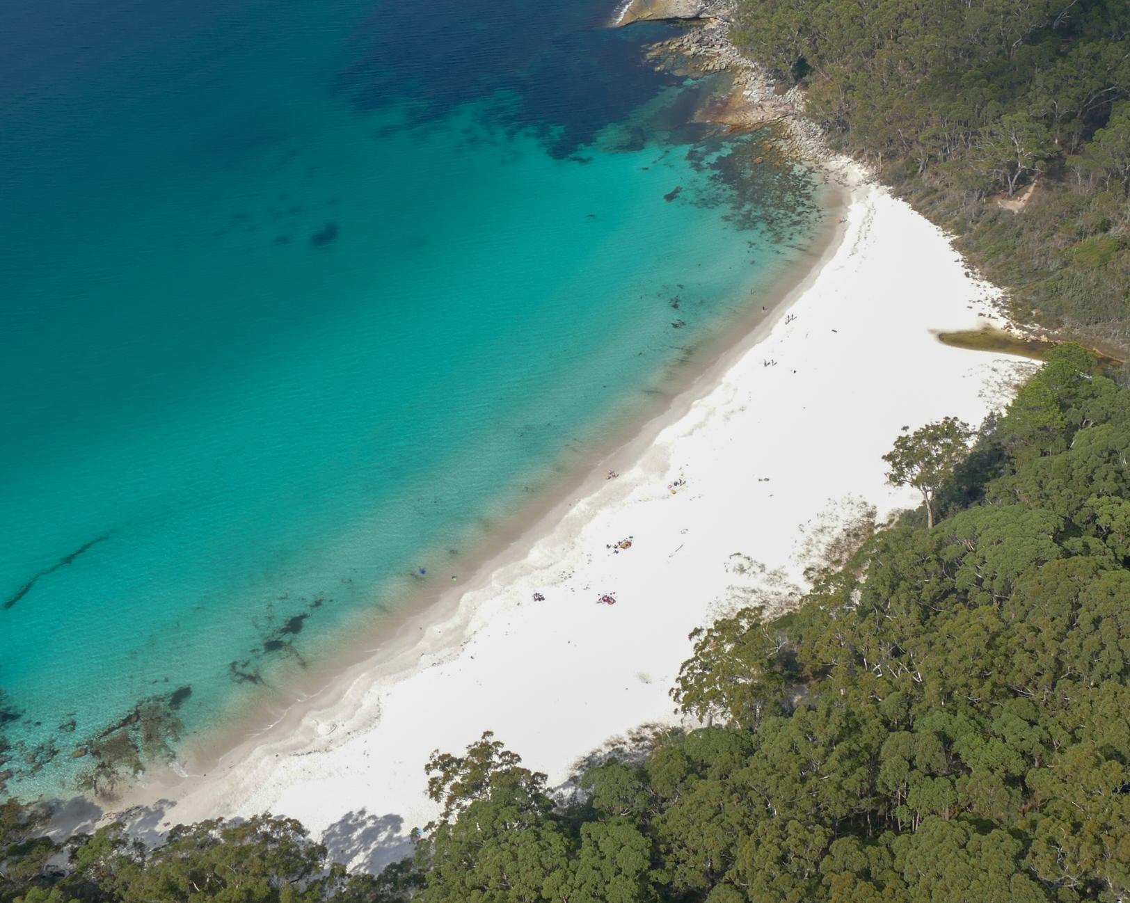 Jervis Bay & Winery Adventure