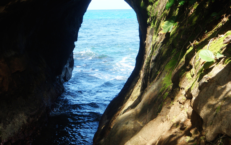 SEA & RIVER KAYAK WITH RAINFOREST HIKE  