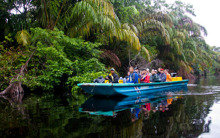 3-DAY TORTUGUERO EXPEDITION