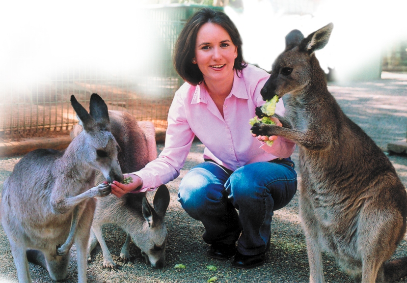 Blue Mountains Tour Sydney including Featherdale Wildlife Park, a Picnic Lunch and Ferry Cruise