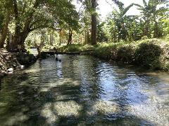 Aguas Agrias - Cool Water Thermal Spring & Lagoon