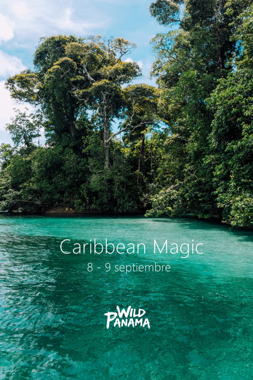 Panama Wild - Caribbean Magic