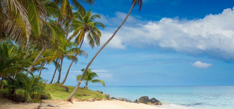 Escape to Corn Island 