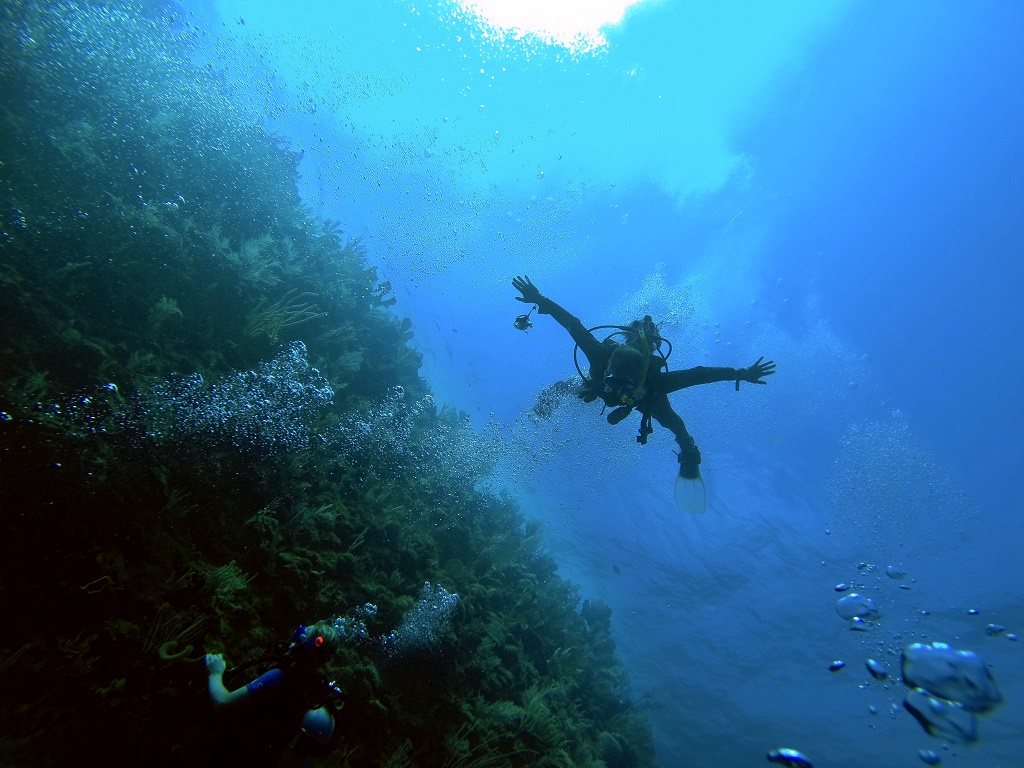 HONDURAS - Utila Diving Expedition