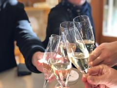 Private Wine and City Half Day Tour