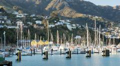 Akaroa Harbour Cruise to see Hector’s Dolphins - Small Group Tour