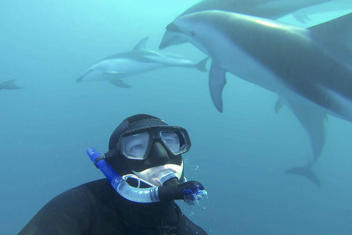 Kaikoura Dolphin Encounter - Small Group Tour 
