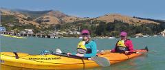 Private Akaroa Harbour Kayak