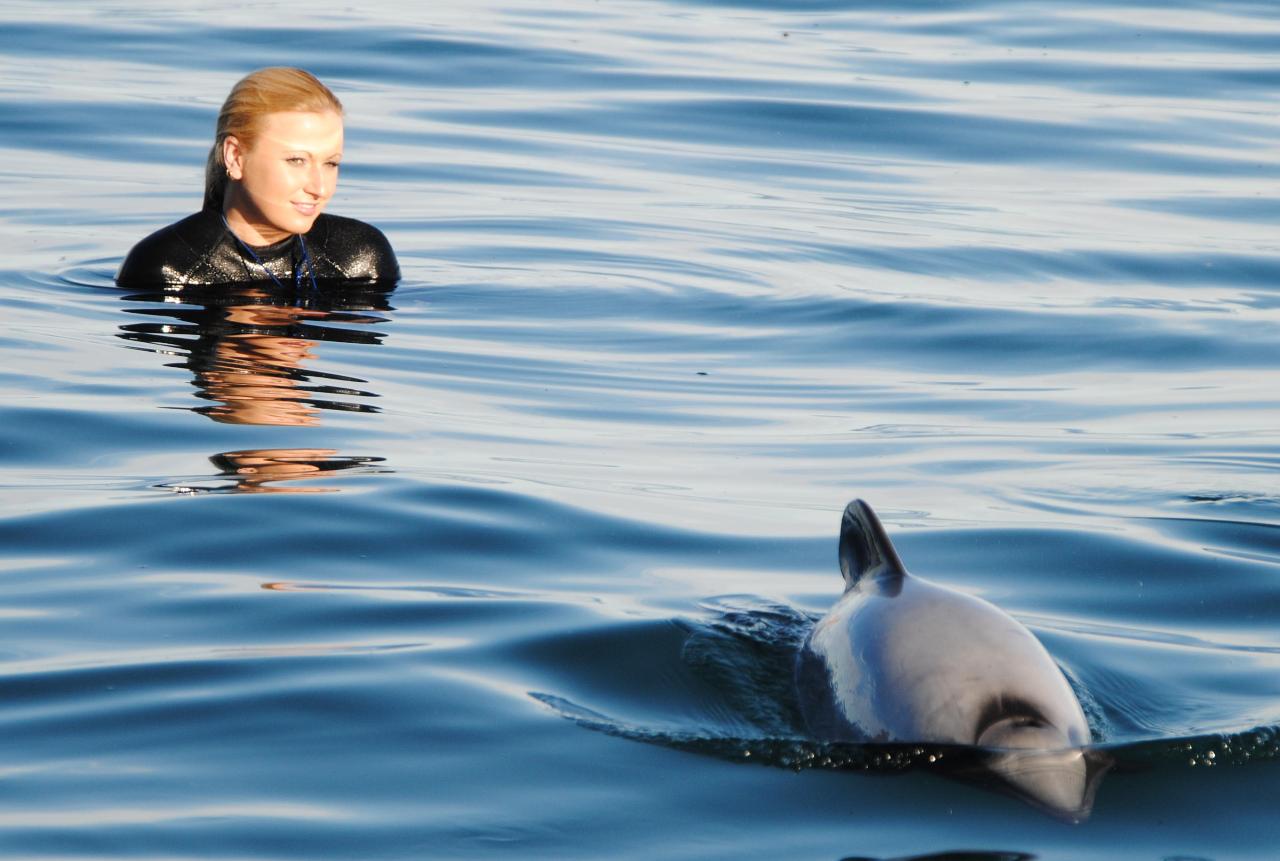 Akaroa Swimming with Dolphins - Small Group Tour