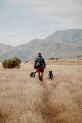 Private - High-Country Farm Tour and Arthurs Pass National Park Adventure
