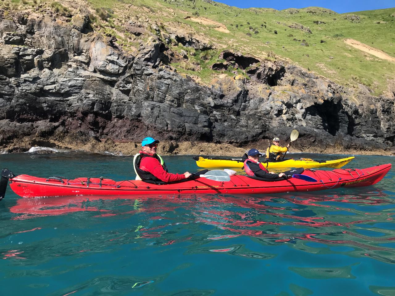 Kaikoura Guided Kayak Tour