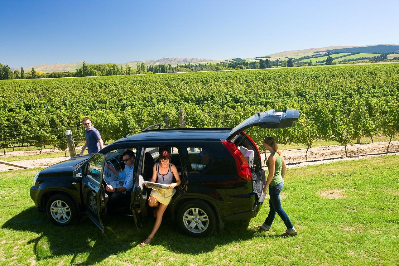 Wine & City Half Day - Small Group Tour