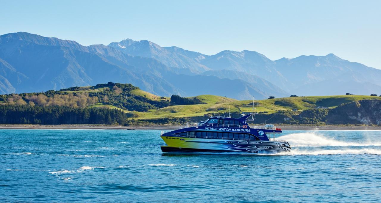 Private - Kaikoura Whale Watch